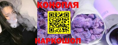 spice Обь