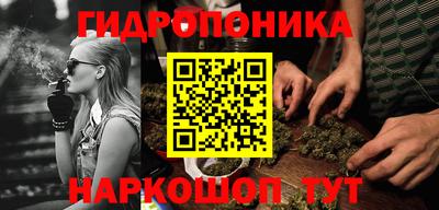 spice Обь