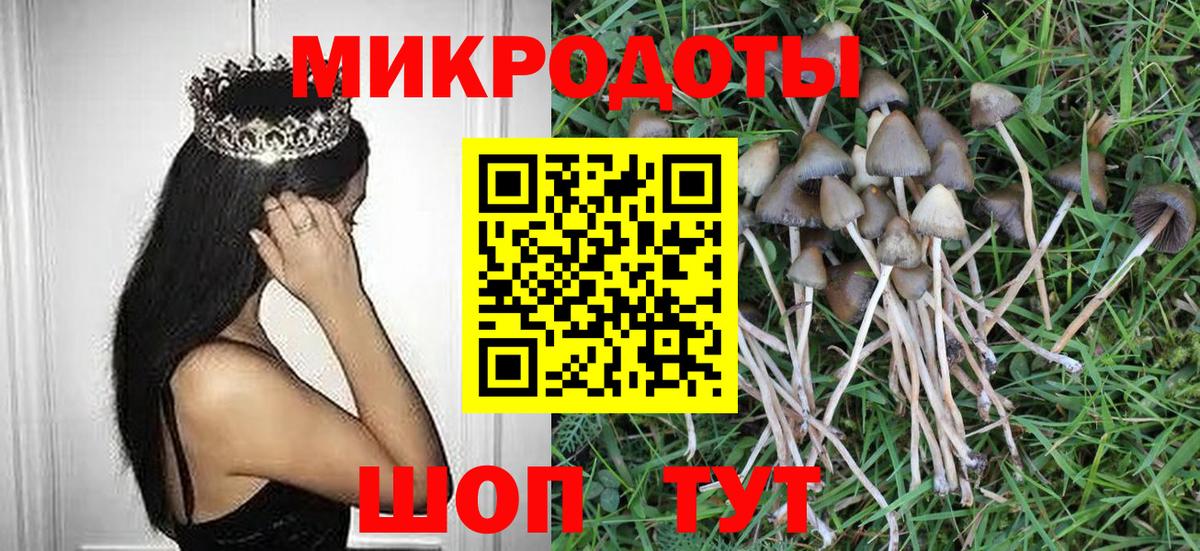 Галлюциногенные грибы Magic Shrooms Фролово