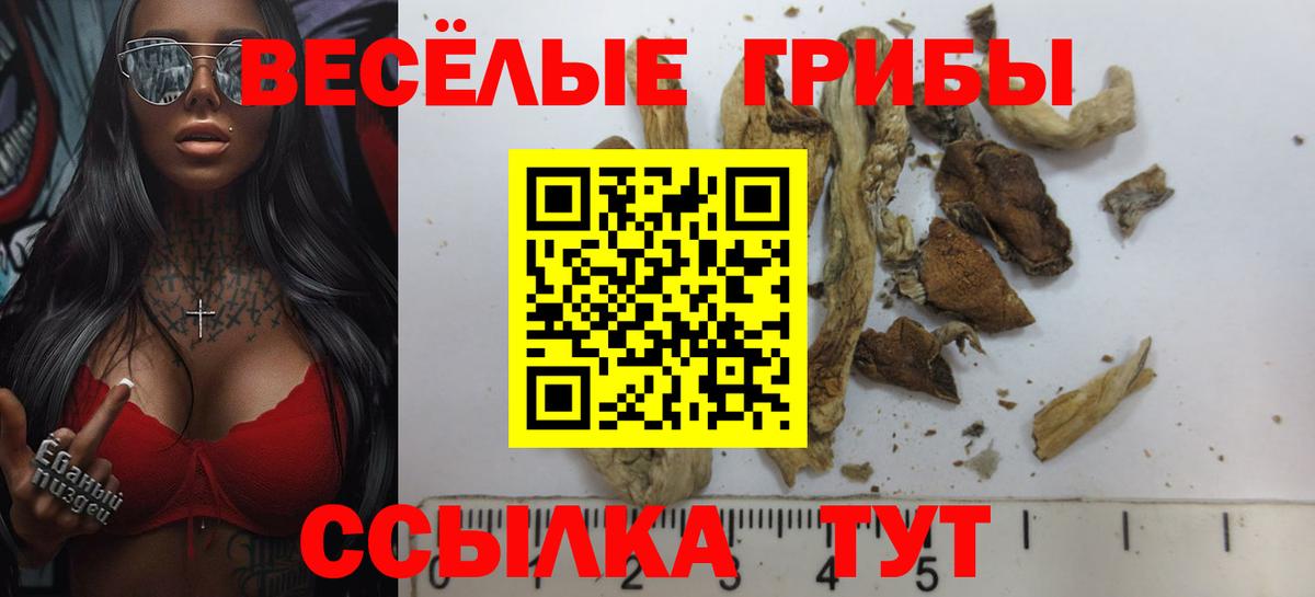 Галлюциногенные грибы Cubensis  Вход с VPN  Фролово 